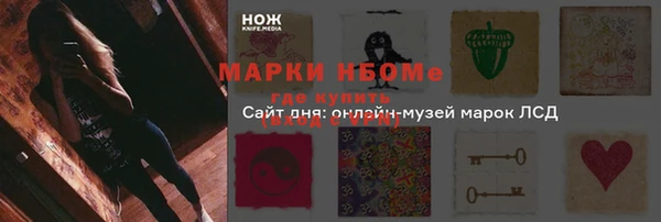 PSILOCYBIN Балабаново