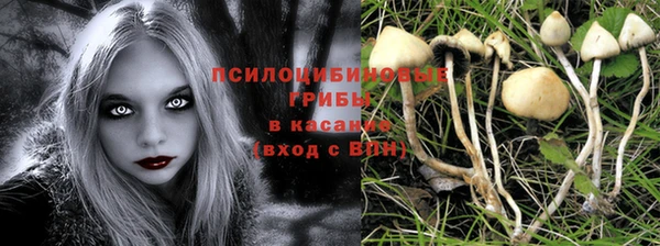 PSILOCYBIN Балабаново