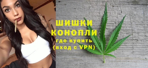 PSILOCYBIN Балабаново