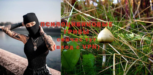 PSILOCYBIN Балабаново