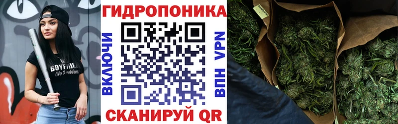 Шишки марихуана Ganja  Кохма 